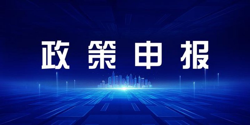 政策申报