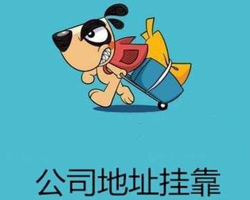 在深圳，了解一家财税服务公司的角色至关重要。它们在企业发展中扮演着怎样的角色？